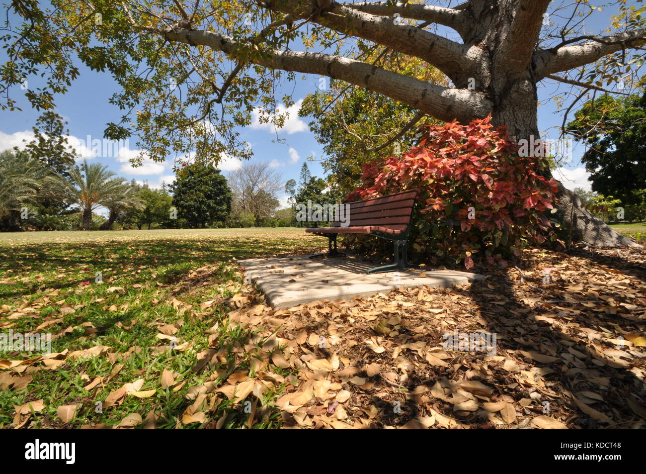 Anderson park botanical gardens, Townsville, Queensland, Australie ...