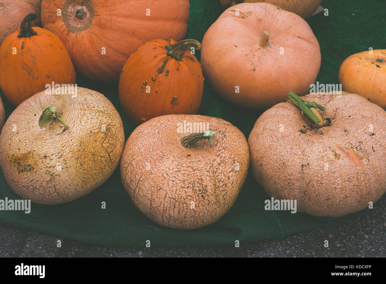 Grandes citrouilles à la citrouille annuel pèsent au le marché de producteurs de l'Ouest à Steyning Susssex, Angleterre. Banque D'Images