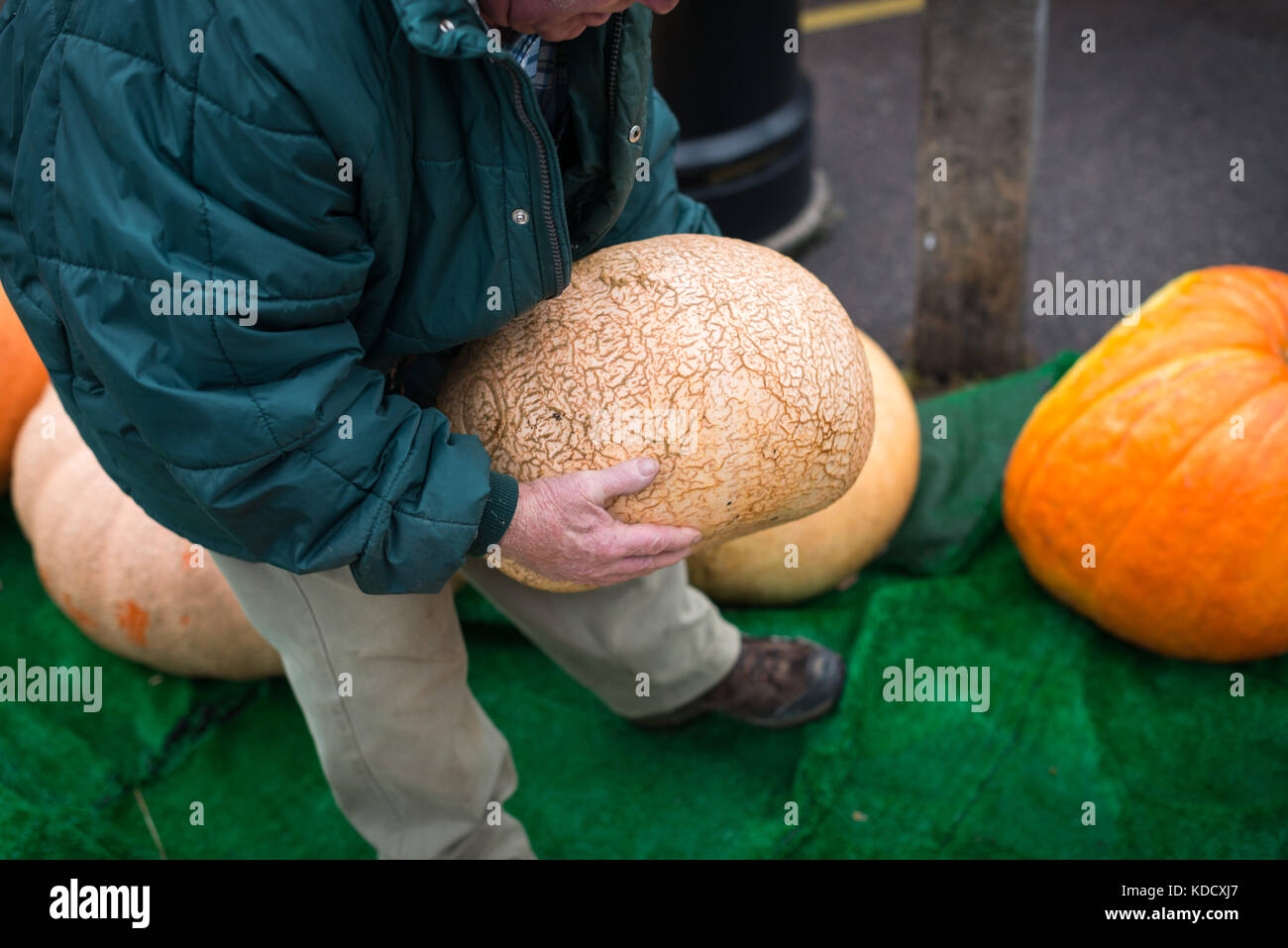 Un homme porte une citrouille citrouille annuel au cours de la peser au Steyning dans le West Sussex, Angleterre. Banque D'Images