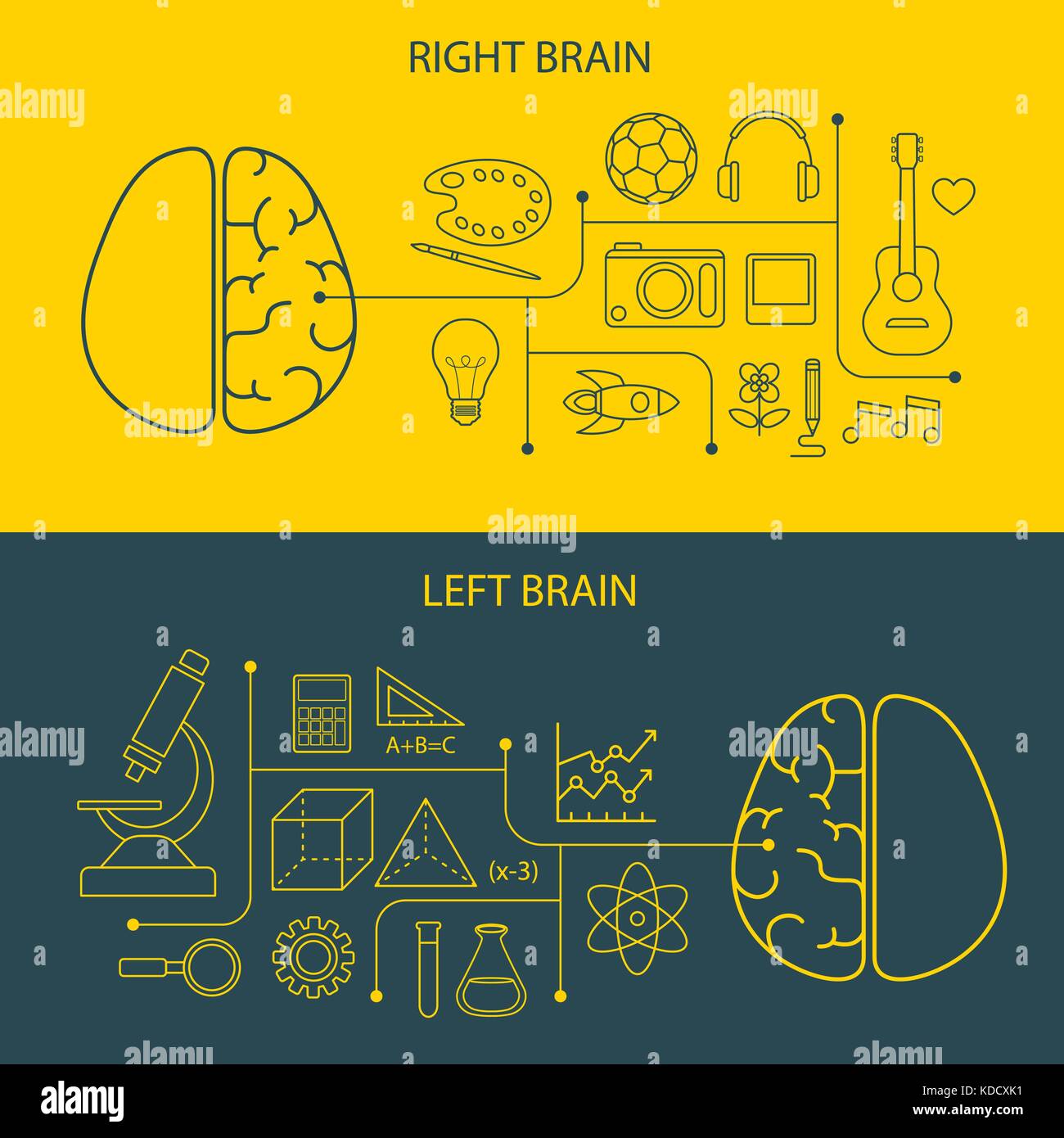 Fonctions du cerveau gauche et droit concept Illustration de Vecteur