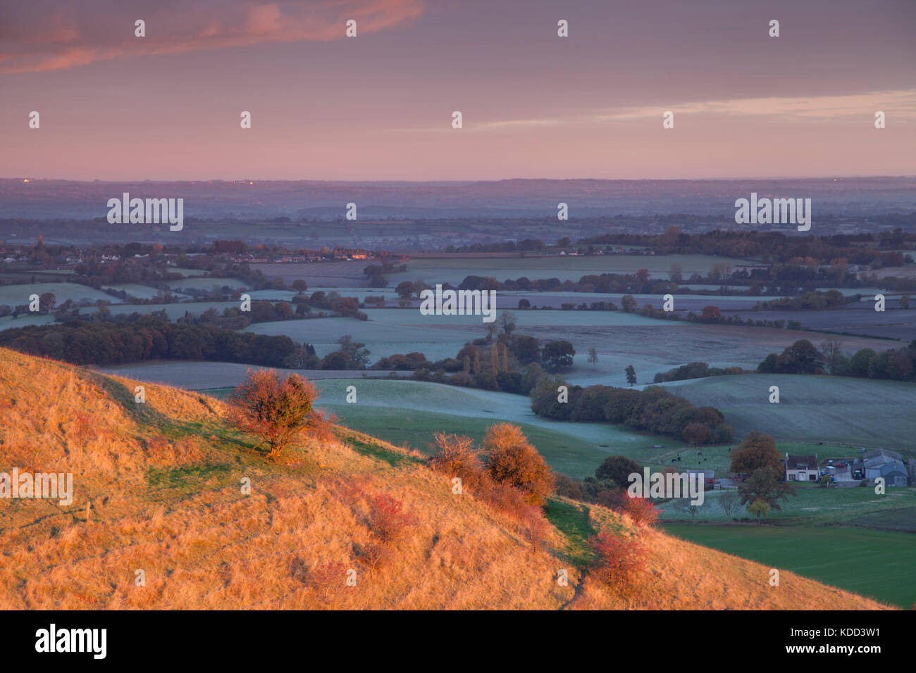 Le CLAJ Hill près de Salisbury dans le Wiltshire. Banque D'Images