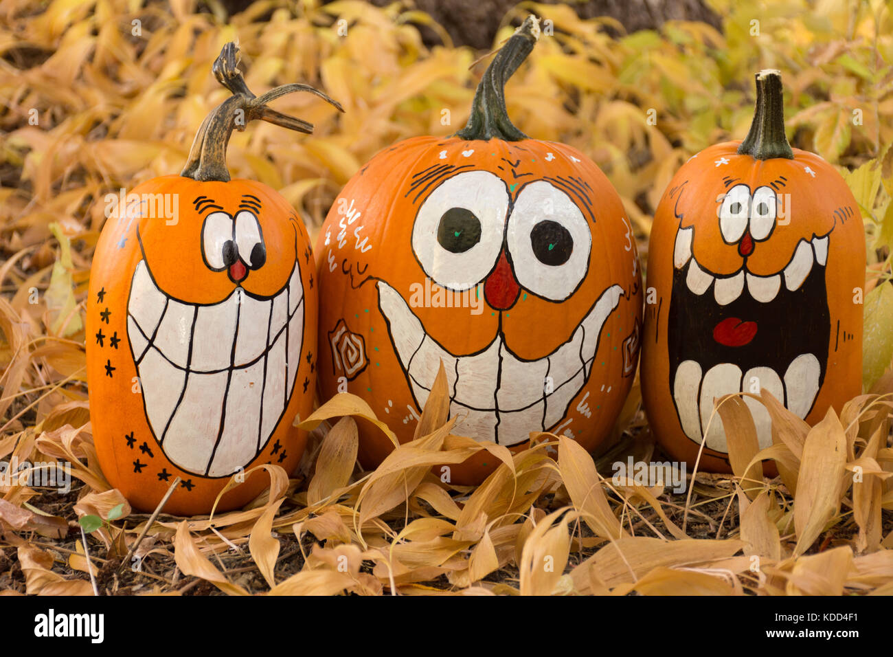 Close up de trois citrouilles décorées qui sont peints avec des sourires, des yeux ovales et de grandes dents. photographié parmi les feuilles sèches. faible profondeur de champ. Banque D'Images