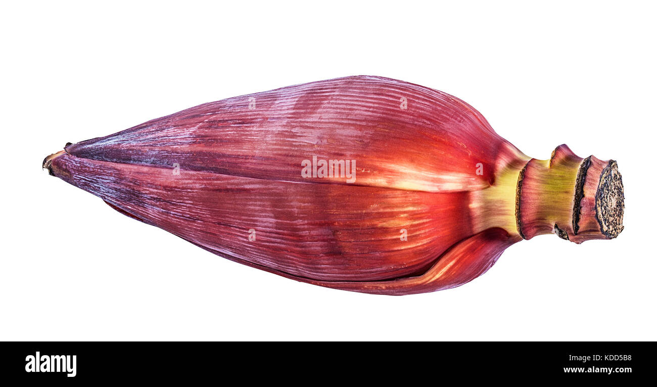 Crayons isolé sur fond blanc Banque D'Images