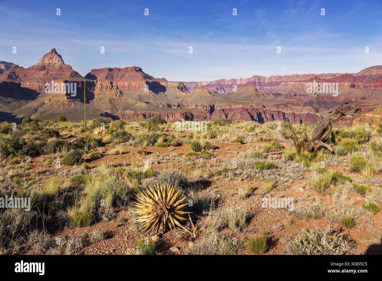 Vue sur le paysage de Vishnu Temple Rock sur la grande randonnée Sentier menant à Horseshoe Mesa dans le parc national du Grand Canyon, en Arizona États-Unis Banque D'Images