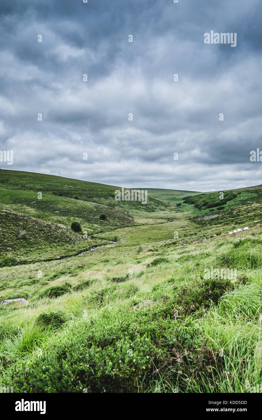 Images de paysage de Moorland à Dartmoor, Devon, Royaume-Uni Banque D'Images