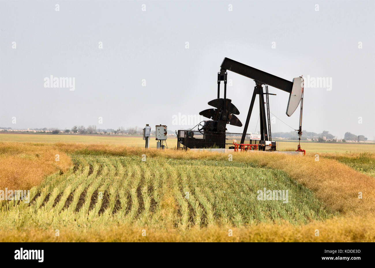 Prise d'huile de l'énergie des champs de gaz de la saskatchewan canada Banque D'Images