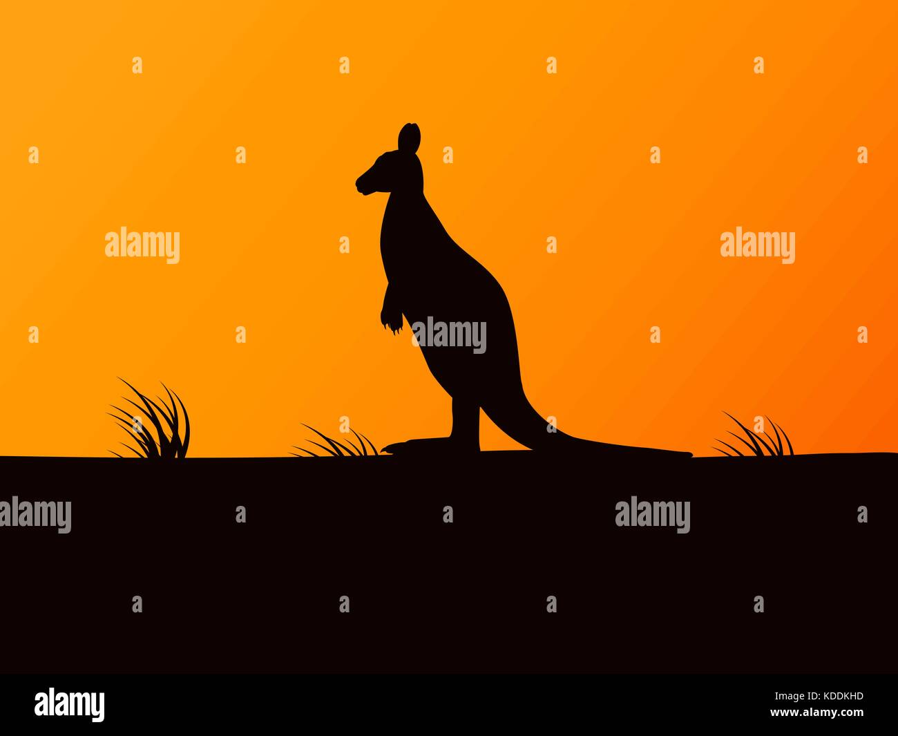 Silhouette Vector kangaroo sur fond de coucher du soleil Illustration de Vecteur
