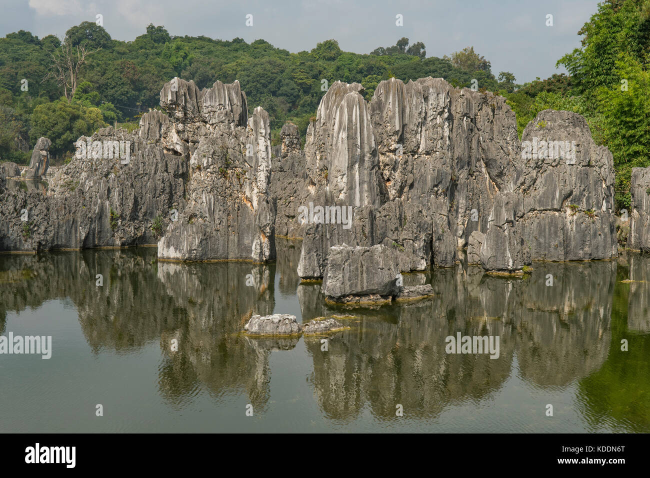 Réflexions à forêt de pierre de Shilin,, près de Kunming, Yunnan, Chine Banque D'Images
