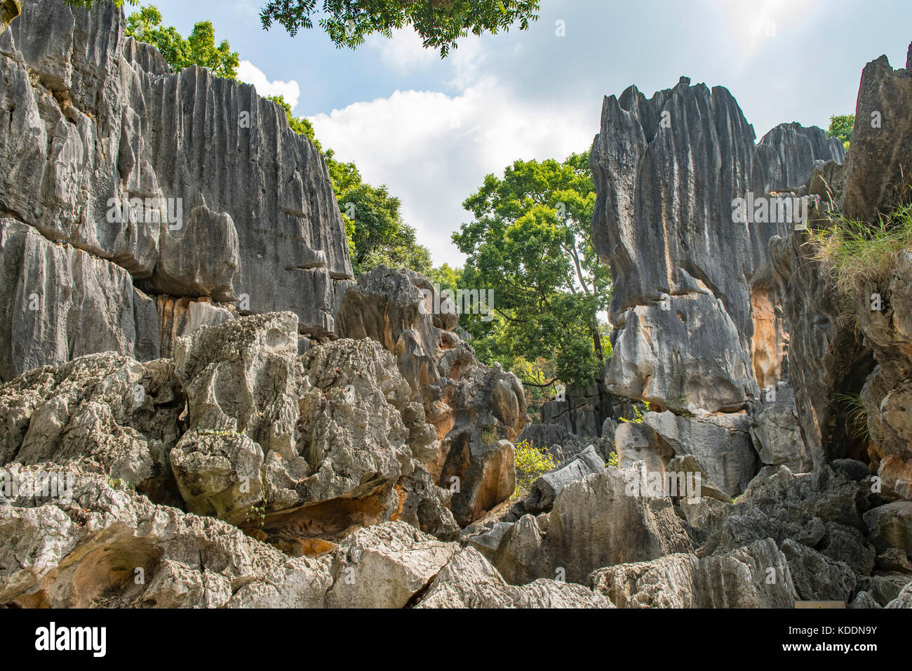 Plus grande forêt de pierre de Shilin,, près de Kunming, Yunnan, Chine Banque D'Images