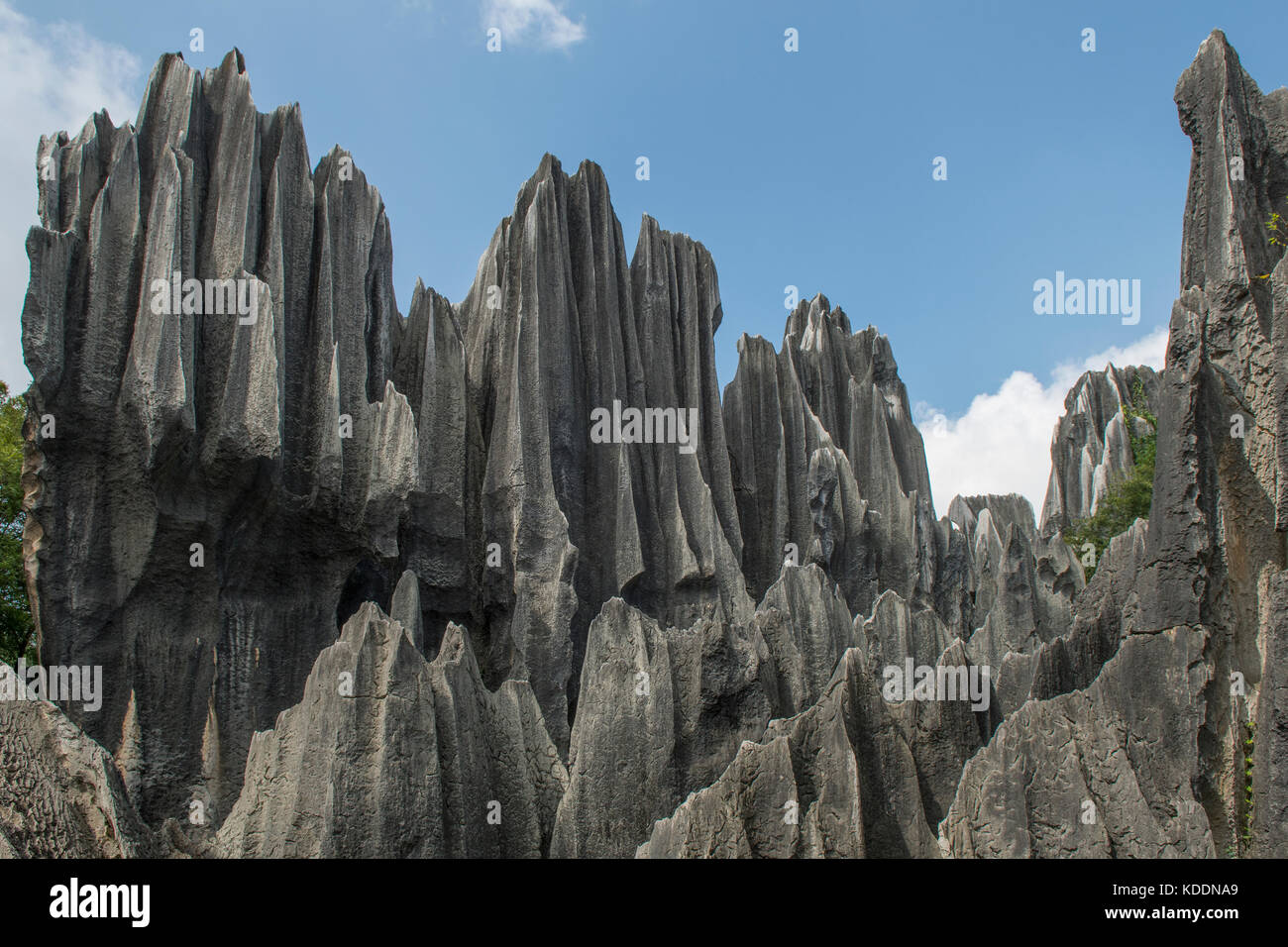 Karst pinnacle, une plus grande forêt de pierre de Shilin,, près de Kunming, Yunnan, Chine Banque D'Images