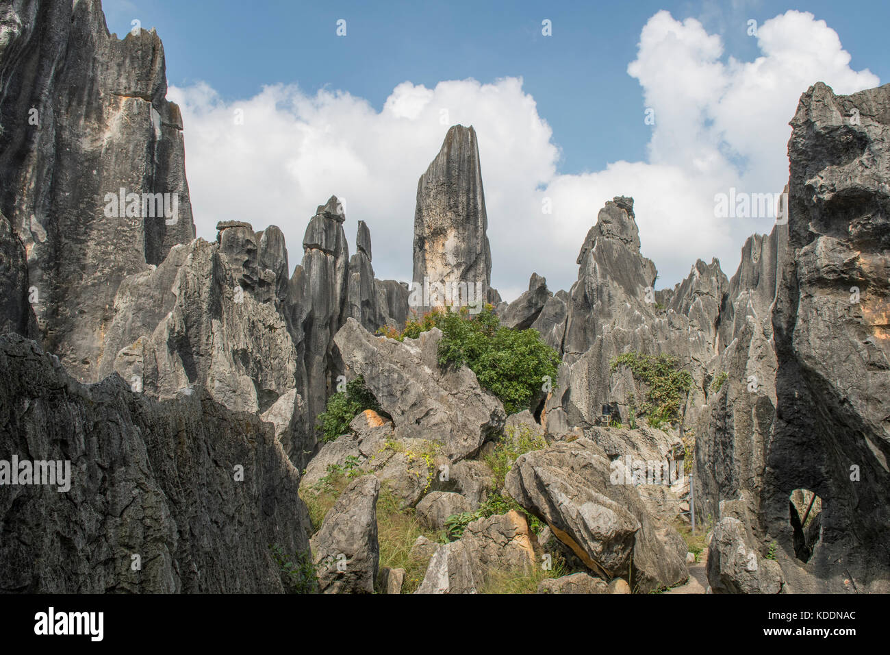 Plus grande forêt de pierre de Shilin,, près de Kunming, Yunnan, Chine Banque D'Images