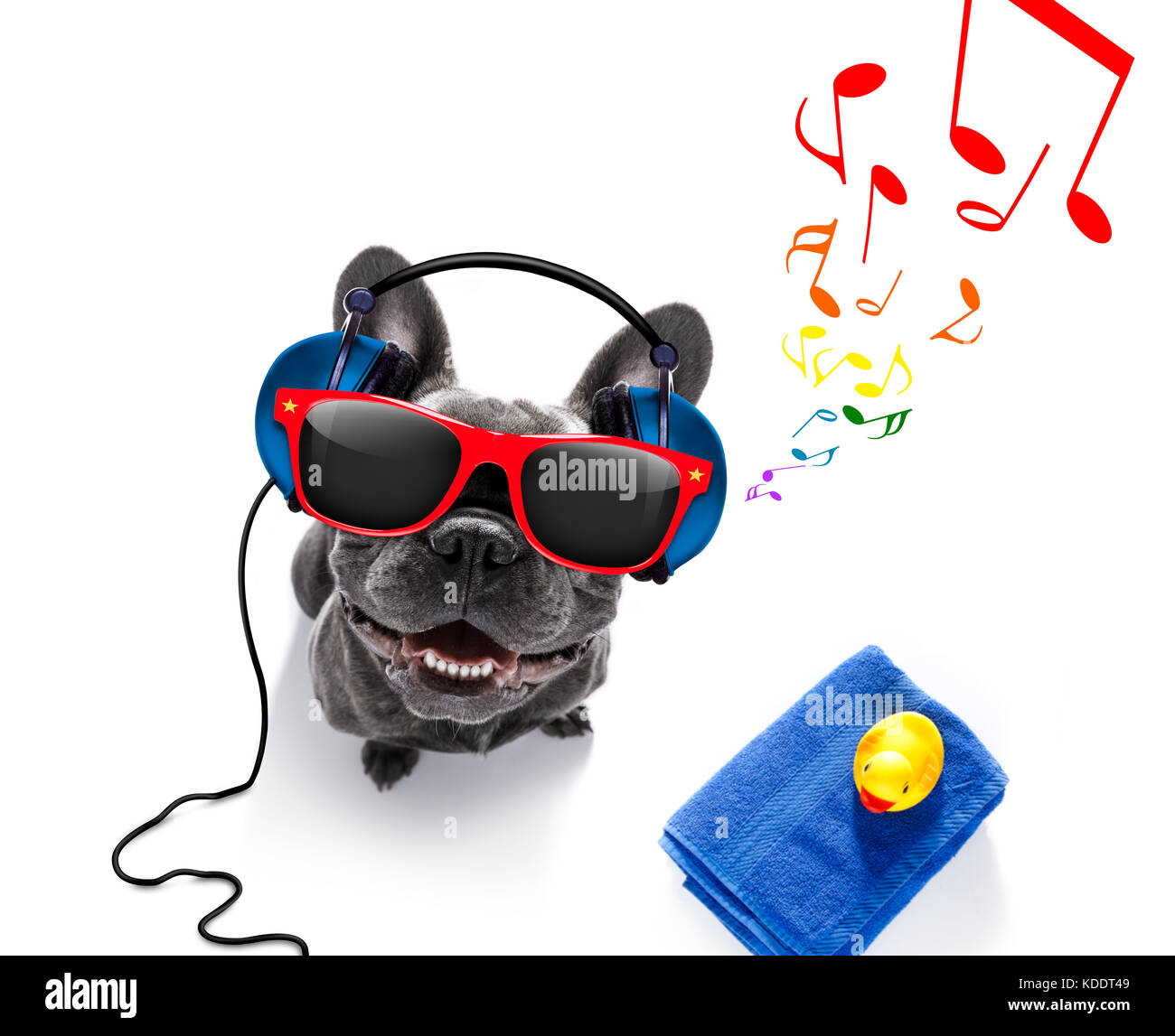 Dj cool chien bouledogue français à l'écoute ou le chant de la musique avec  des écouteurs et un lecteur mp3, notes tout autour, isolé sur fond blanc et  prêt à Photo Stock -