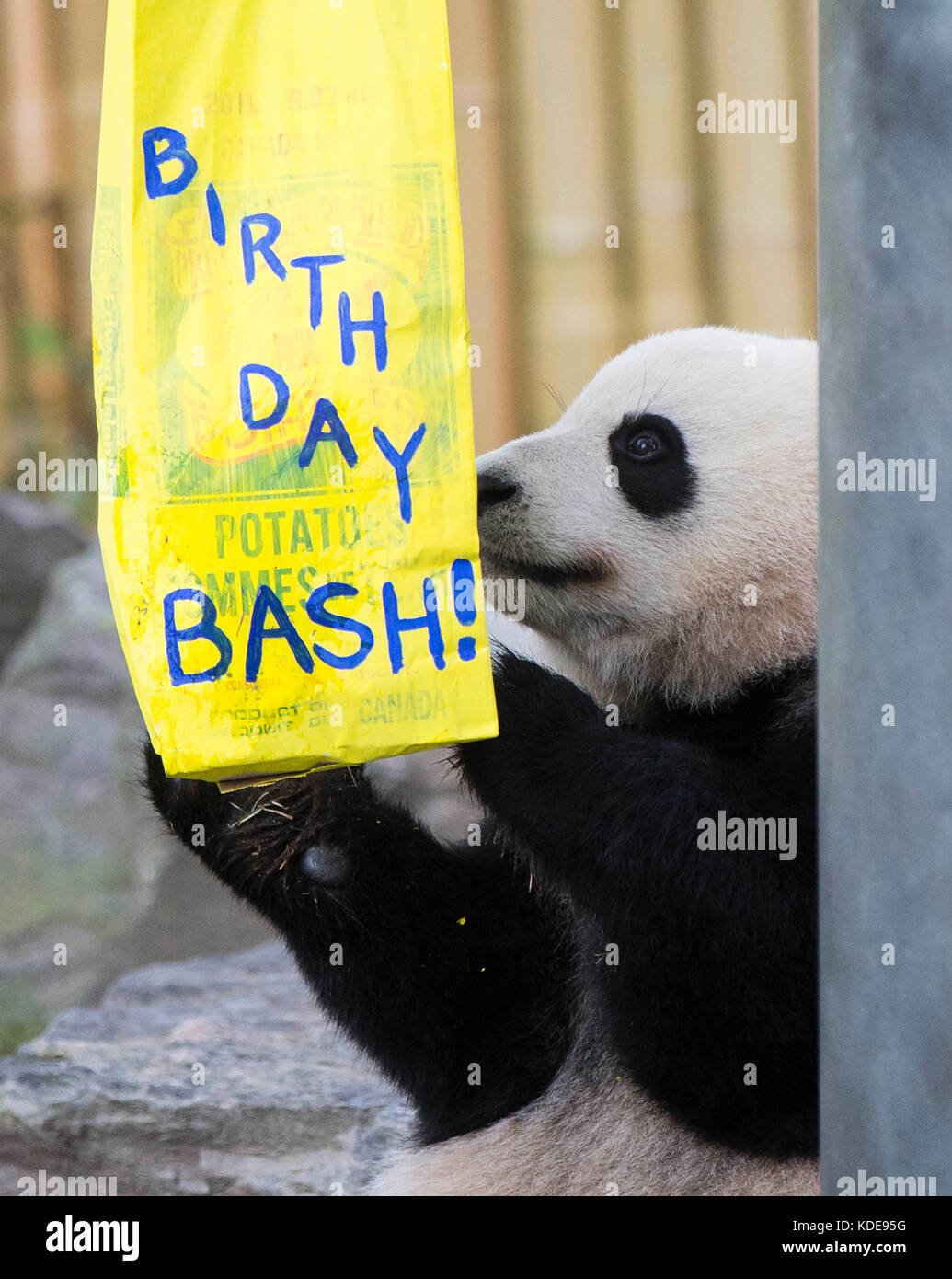 2eme Anniversaire Banque De Photographies Et D Images A Haute Resolution Alamy