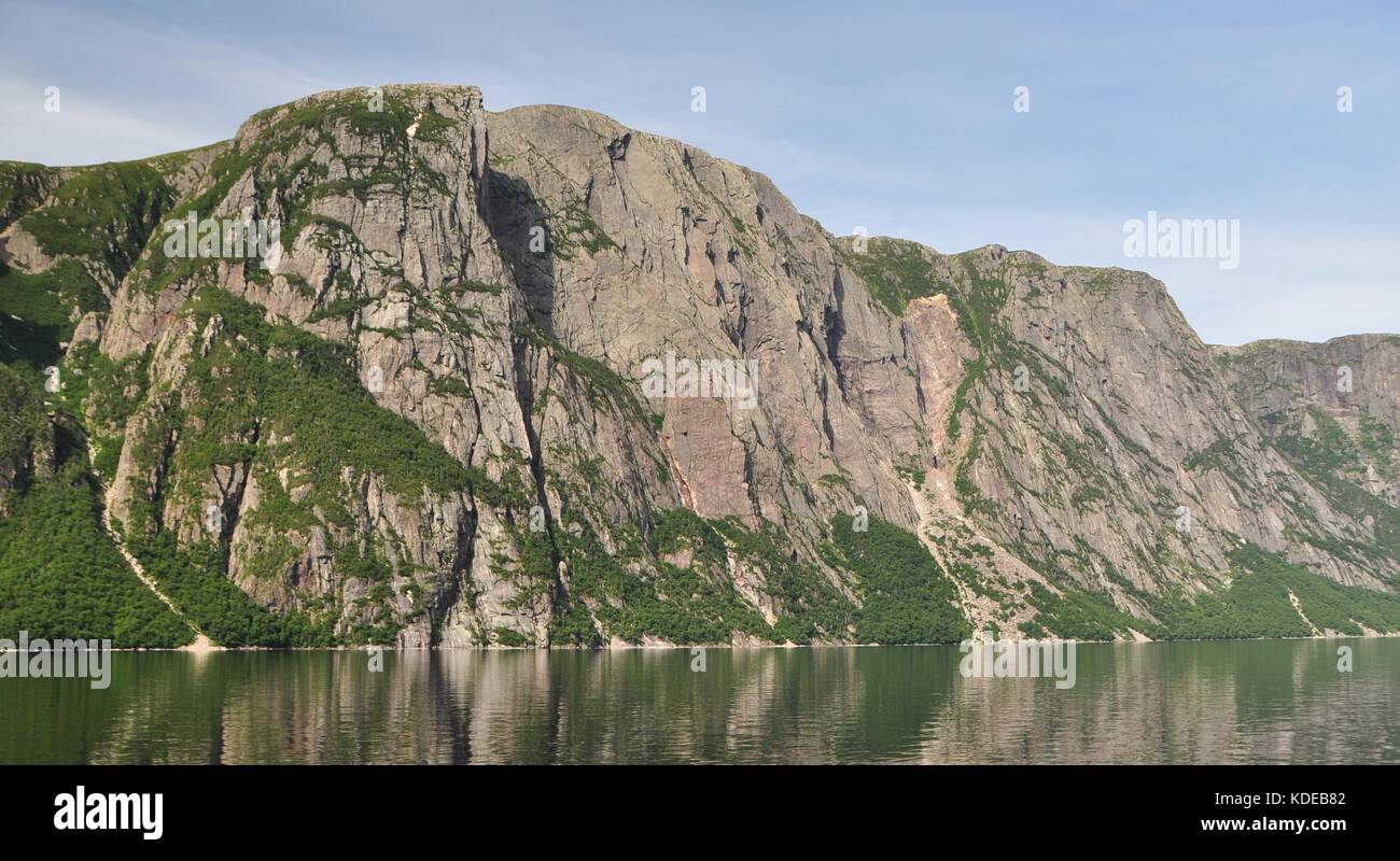 Chutes de pierres historiques le long des murs rocheux de l'étang Western Brook, un fjord d'eau douce dans le parc national du Gros-Morne, à Terre-Neuve, Canada Banque D'Images