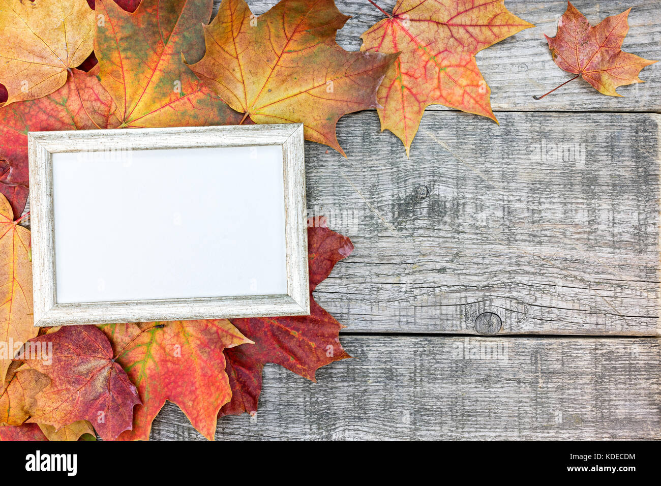 Le rouge et le jaune des feuilles d'érable sec avec photo frame sur fond de bois vieux Banque D'Images