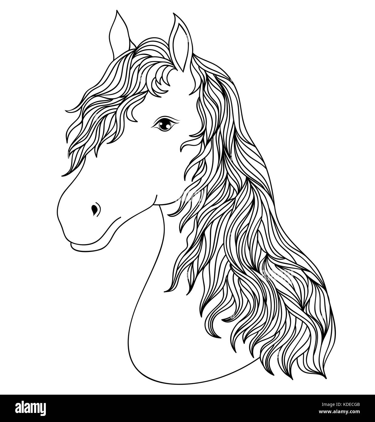Tête de cheval dessiné à la main Illustration de Vecteur