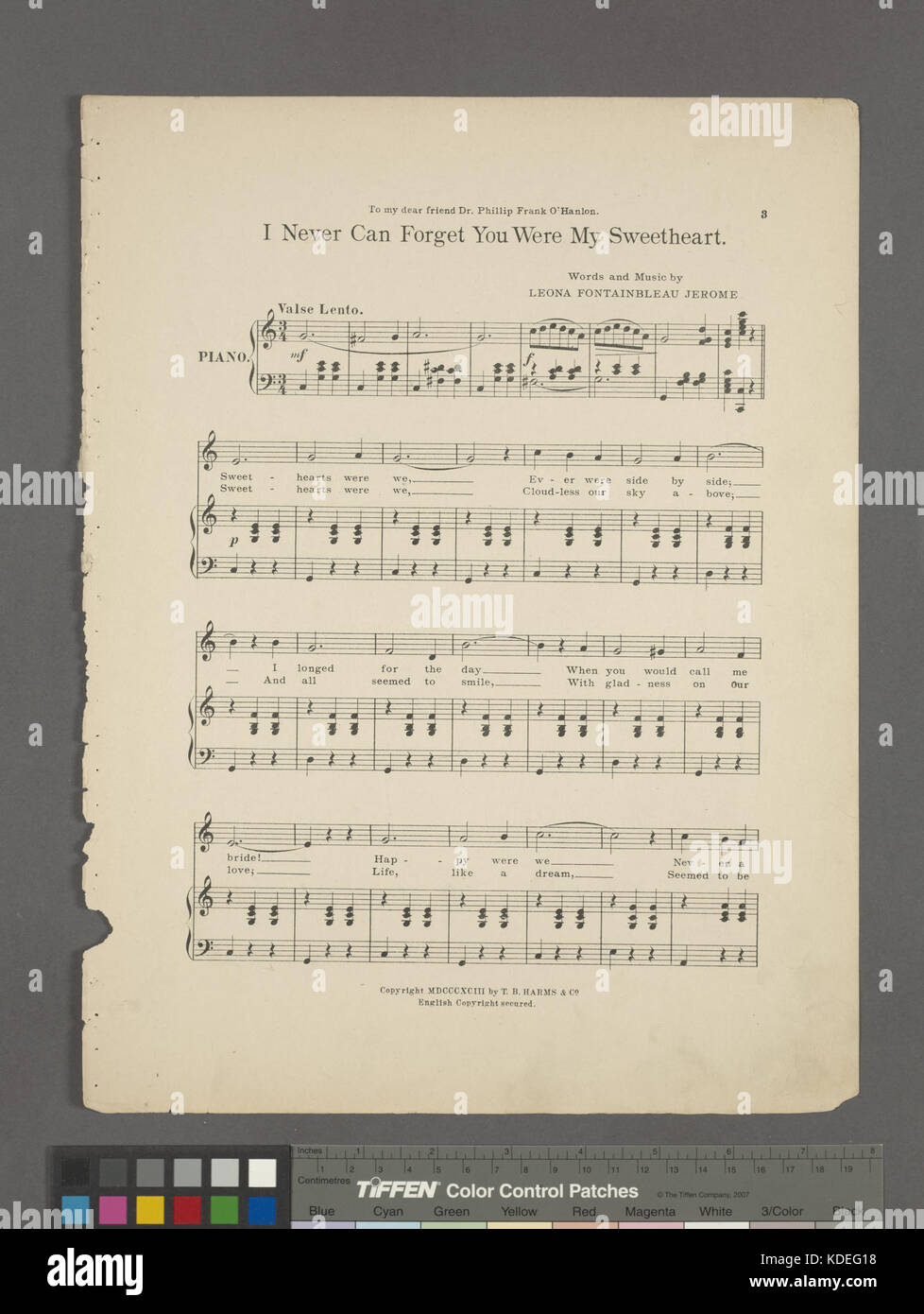 Cette image fait référence à un morceau de culture populaire intitulé « je ne peux jamais oublier que tu étais mon amoureux ». Il est lié à un thème sentimental, peut-être lié à des sentiments historiques ou romantiques exprimés dans la chanson ou la littérature. Banque D'Images