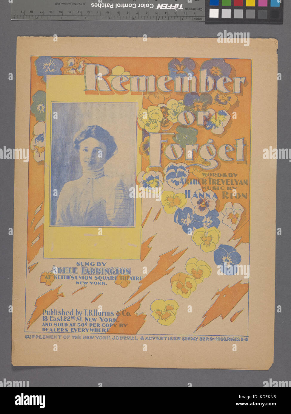 'Remember or Forget' est une œuvre archivée par la New York public Library, identifiée sous le code Hadès 609073 1257145. Cette œuvre, probablement littéraire, explore les thèmes de la mémoire et du passage du temps. Banque D'Images