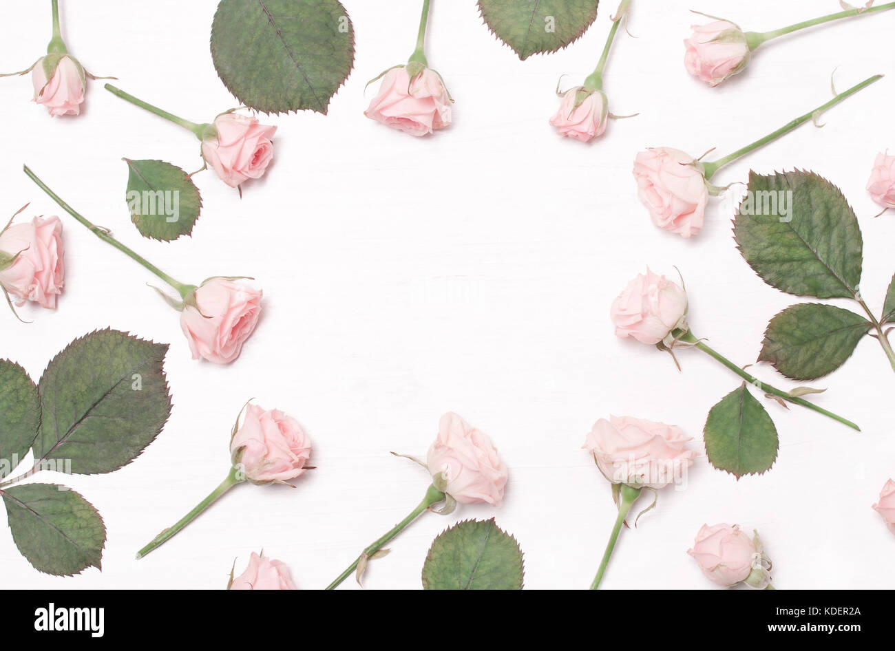 Cadre rond de fleurs roses sur fond blanc..télévision, vue d'en haut Banque D'Images