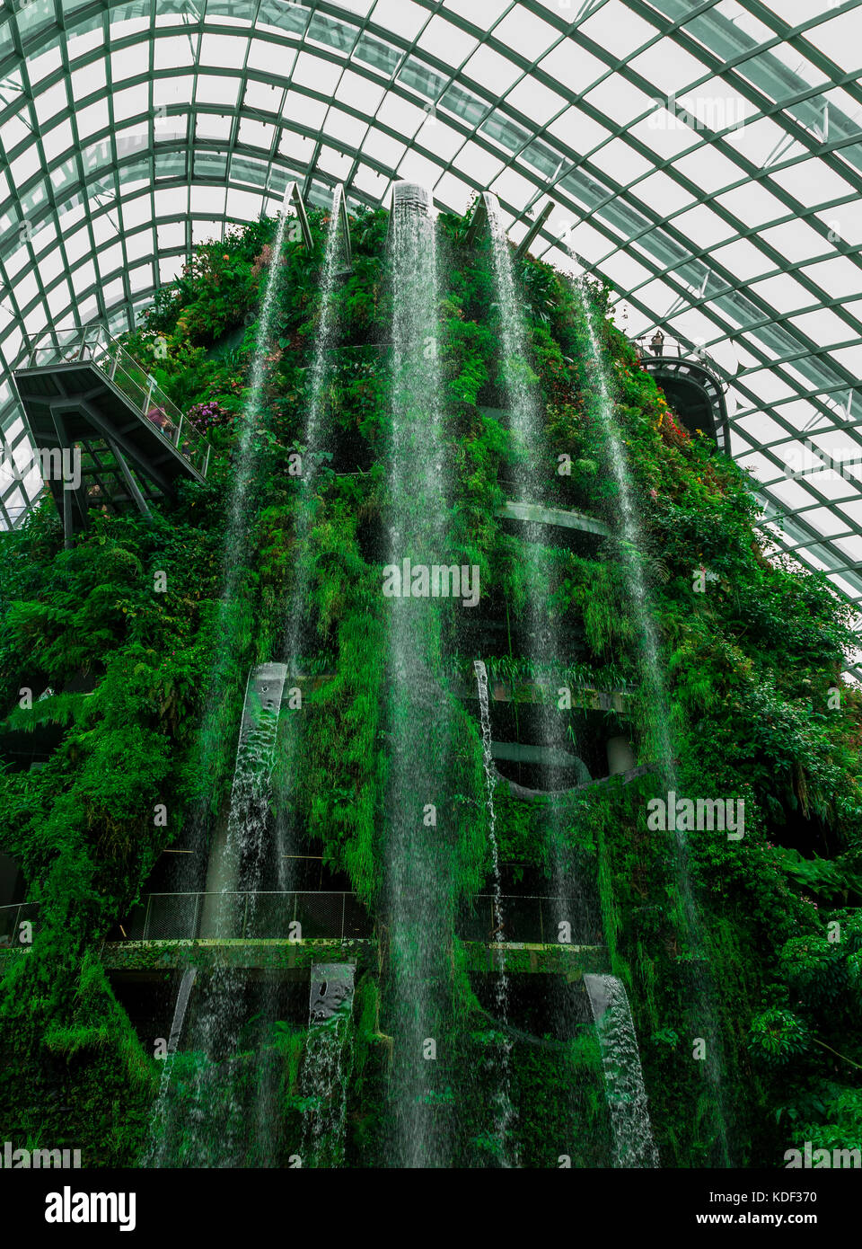 Plus grand monde cascade intérieure, piscine Cloud Dome, Singapour Banque D'Images