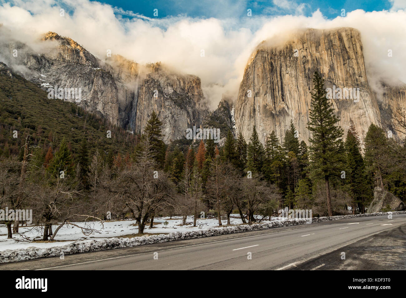 El Capitan, en Californie, l'Amérique Banque D'Images