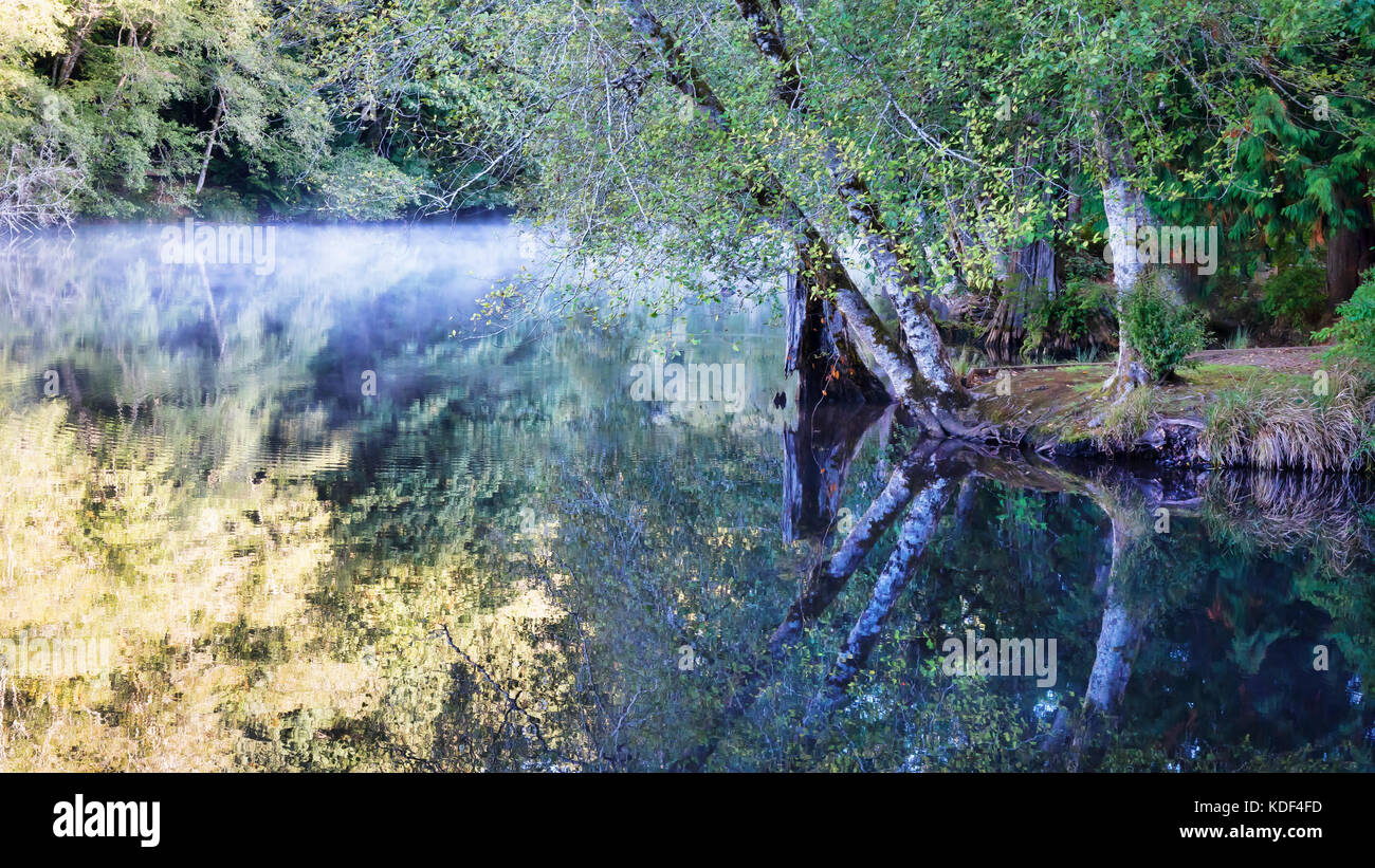 Réflexions en automne lac Sylvia Banque D'Images