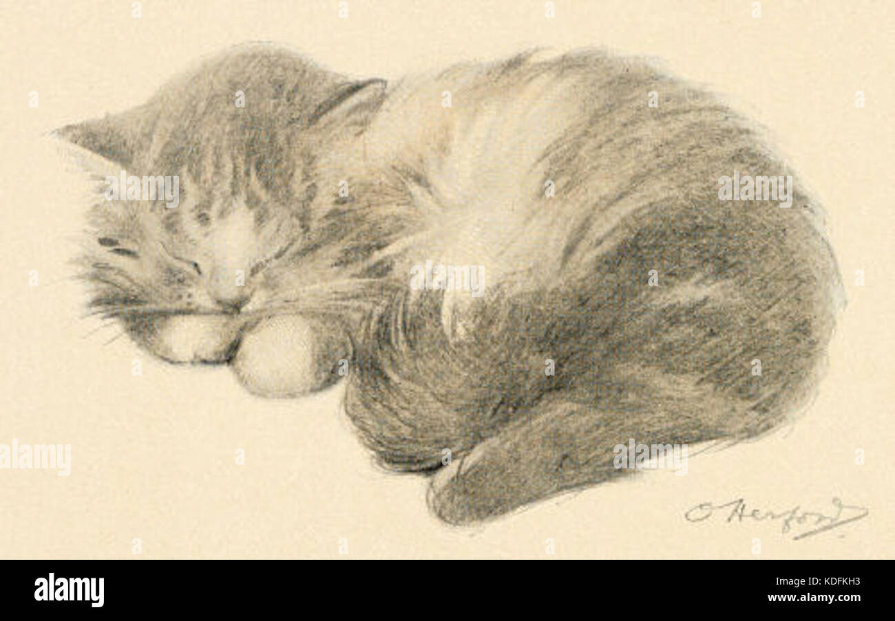 Un dessin simple et charmant d'une chatte endormie. Cette œuvre d’art capture la tranquillité et la tranquillité d’un chat au repos, mettant en valeur la capacité de l’artiste à décrire la sérénité de la vie animale. Banque D'Images