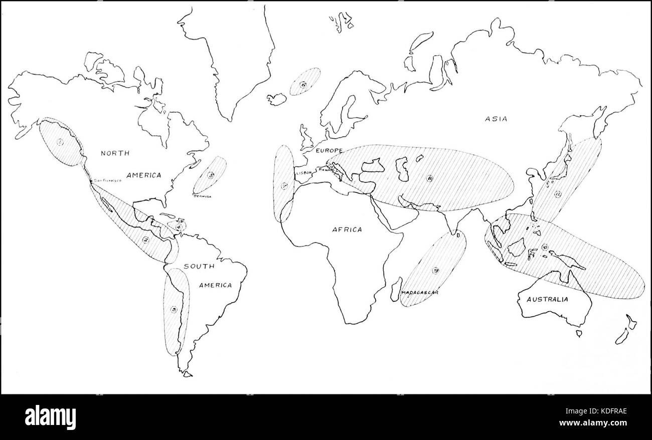 PSM V86 D452 Domaines de terre touchés par les perturbations sismiques Banque D'Images