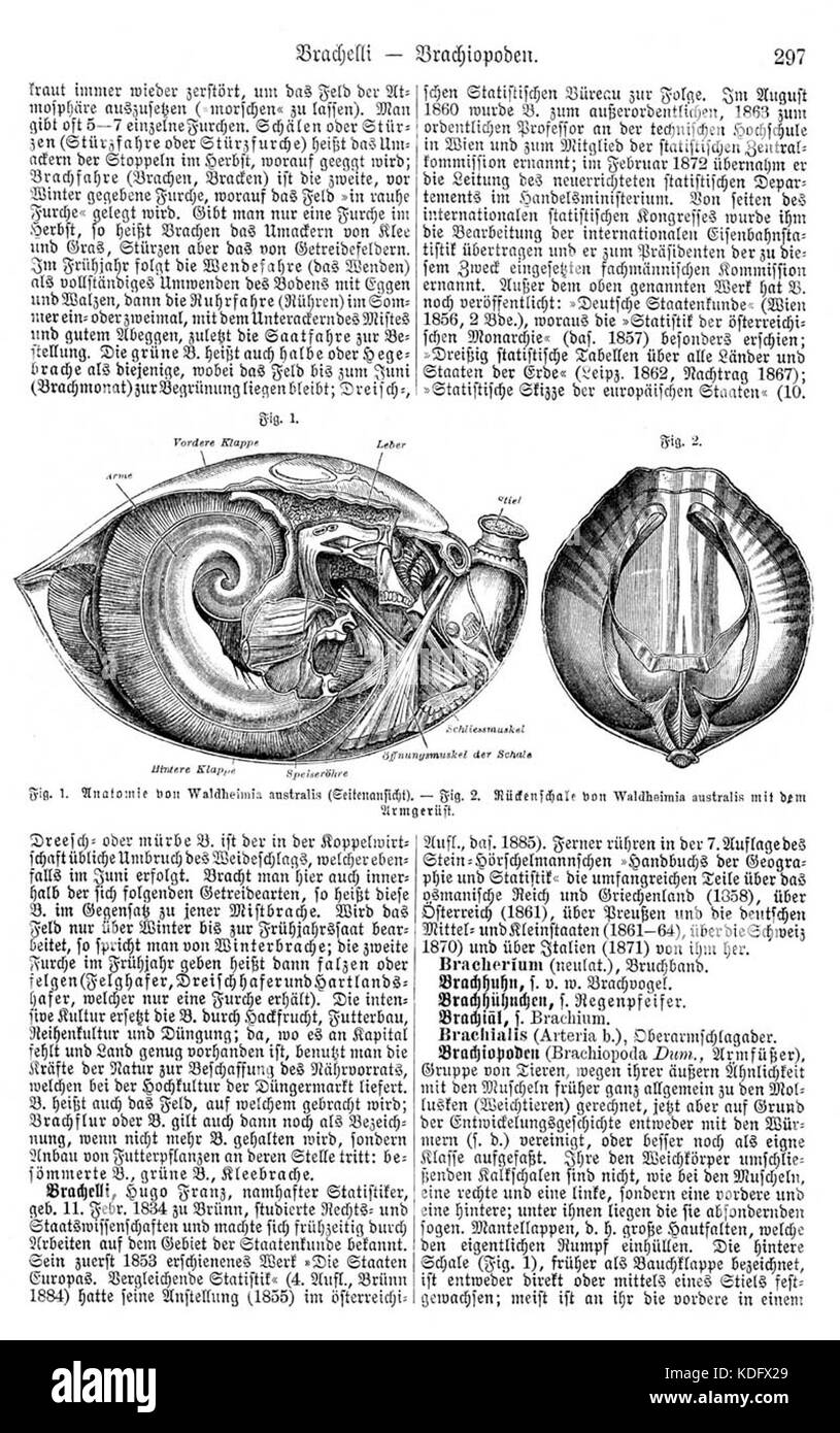 Meyers b3 s0297 Banque D'Images