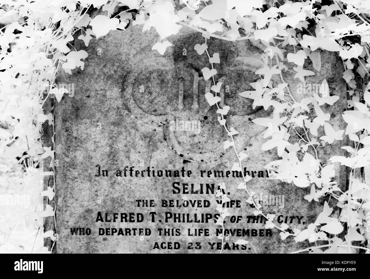 Un port infrarouge shot of old, pierres tombales victorien recouvert de lierre. Banque D'Images