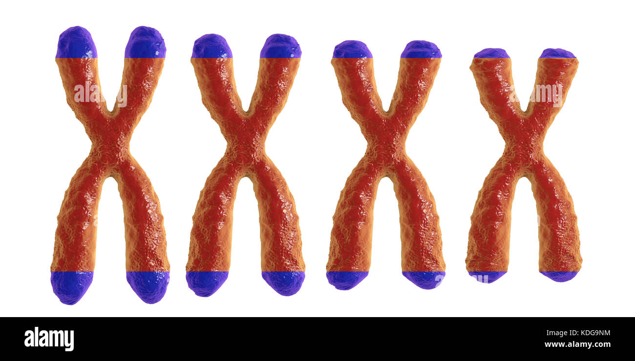 Raccourcissement des télomères, illustration conceptuelle. Les télomères raccourcissent avec l'âge, à chaque division cellulaire et au cours de différents processus pathologiques. Banque D'Images