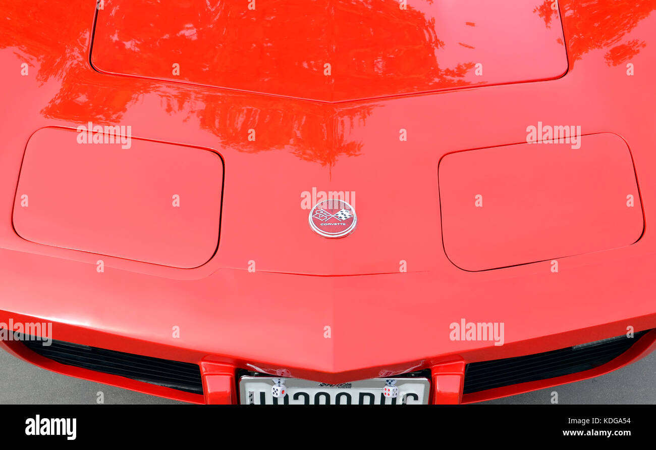 Réunion des voitures américaines classiques. détail de la hotte à l'aide de croisement vers le bas. rouge Chevrolet Corvette C3 stingray (fait à partir de 1968 à 1982) ombres d'arbres. Banque D'Images