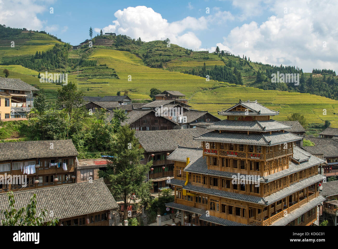 Ping'an zhuang vieux village, terrasse, longsheng longji, Guangxi, Chine Banque D'Images