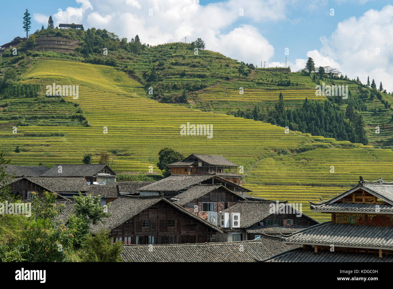 Ping'an zhuang vieux village, terrasse, longsheng longji, Guangxi, Chine Banque D'Images