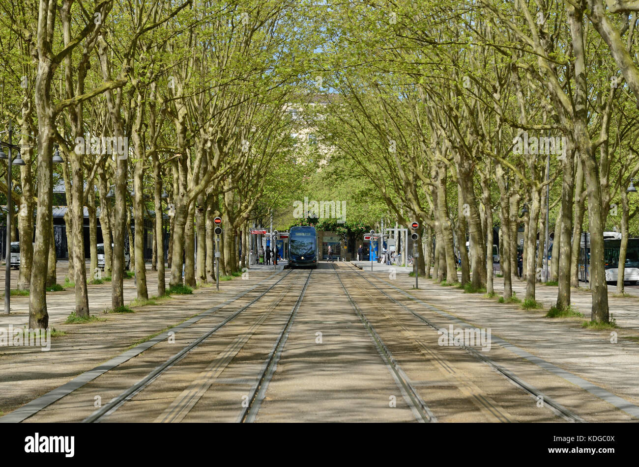 Le tramway sans câble moderne fonctionne sur les voies le long de l'Allée Verte du printemps platans dans la ville de Bordeaux. Banque D'Images