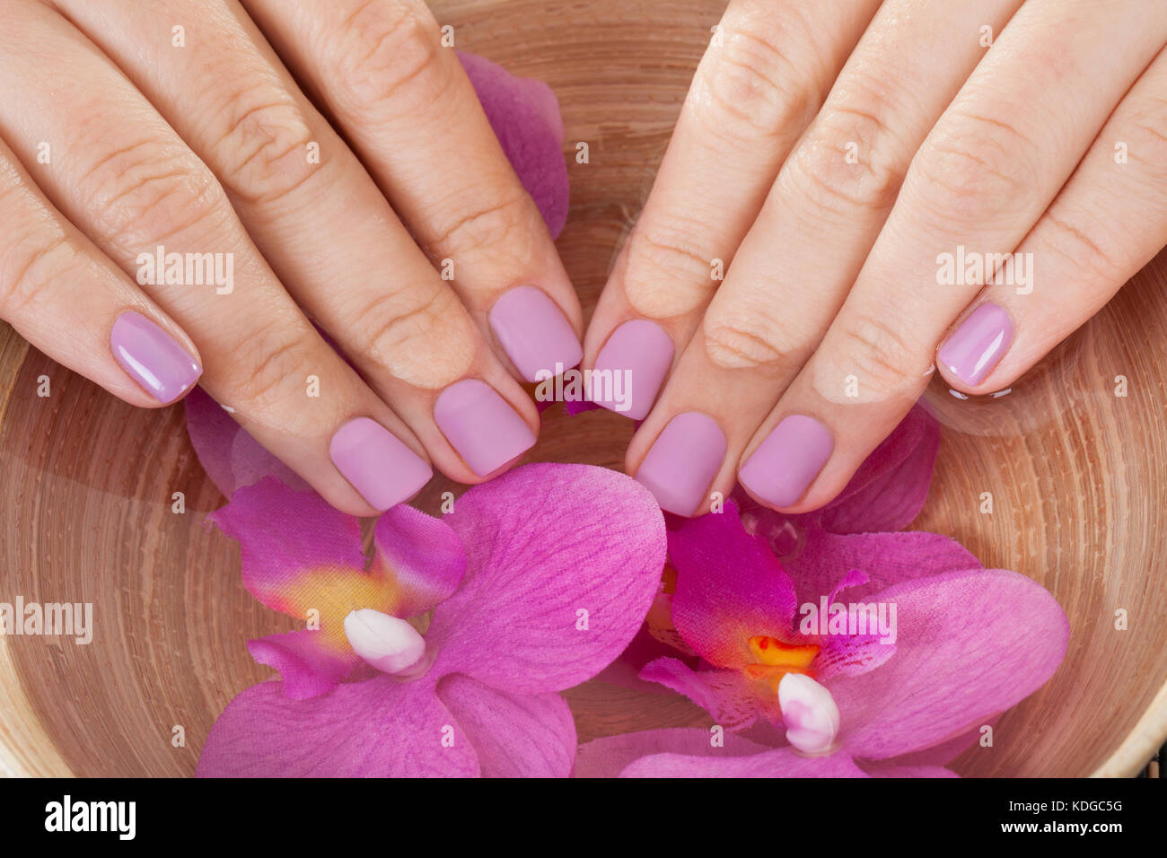 Close-up of female hands obtenir traitement manucure Banque D'Images