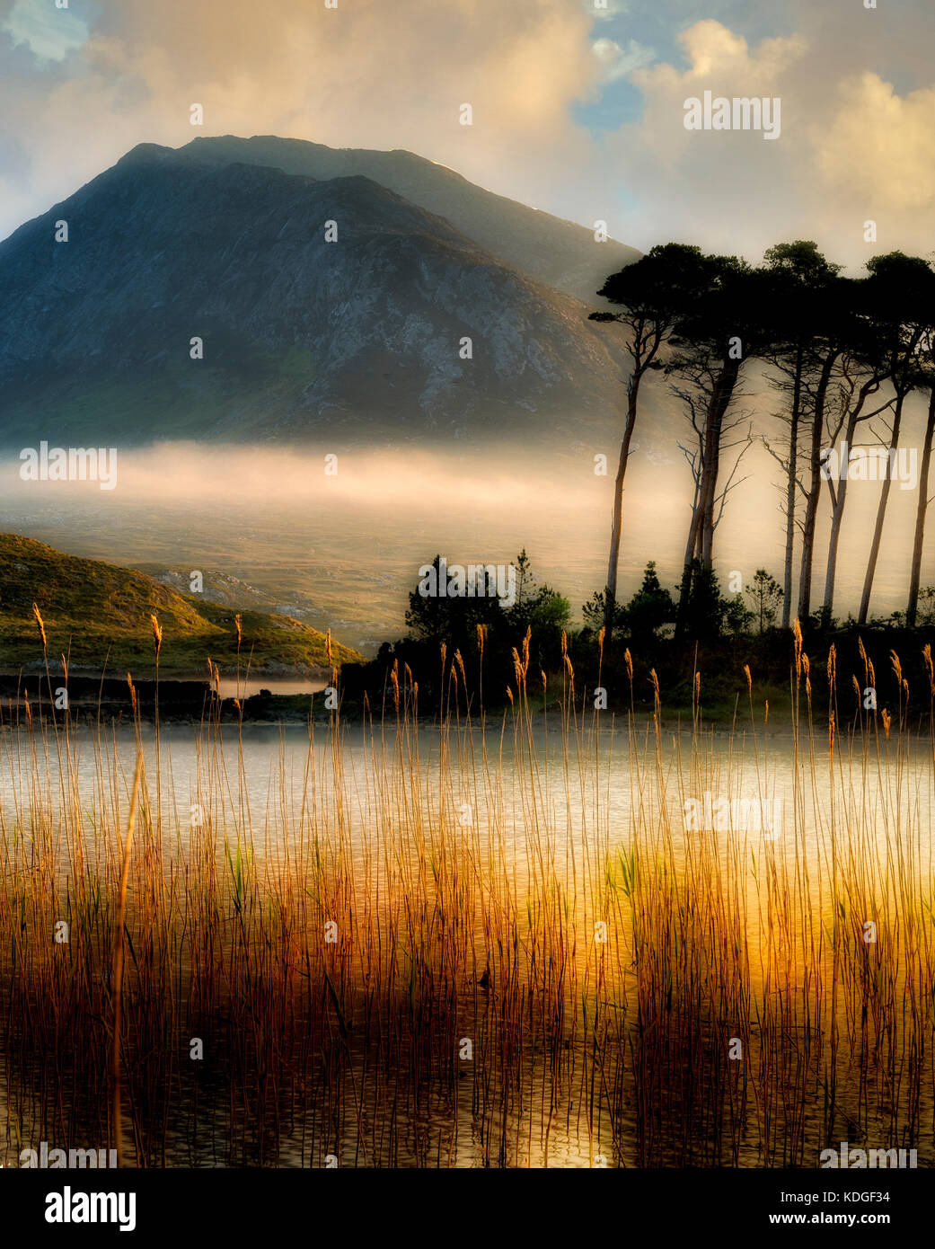 Lever du soleil sur le lac Loch/derryclare avec certains des 12 montagnes ben et edge roseaux. Comté de Galway, le Connemara, Irlande Banque D'Images