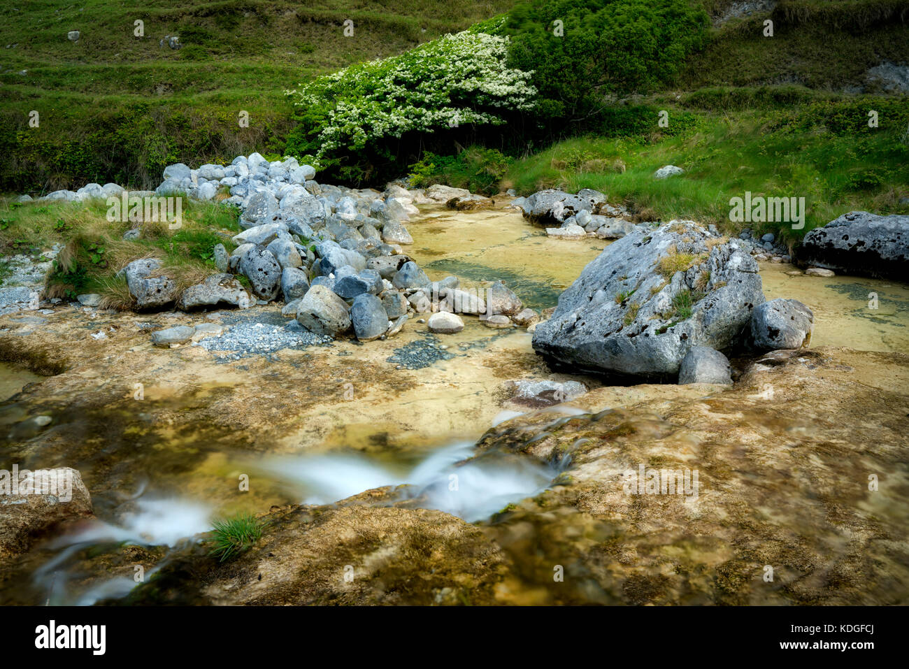 Caher River avec l'arbre Hawthorne en fleurs. Lough Avalla Farm Loop trail County Clare, The Burren, Irlande Banque D'Images