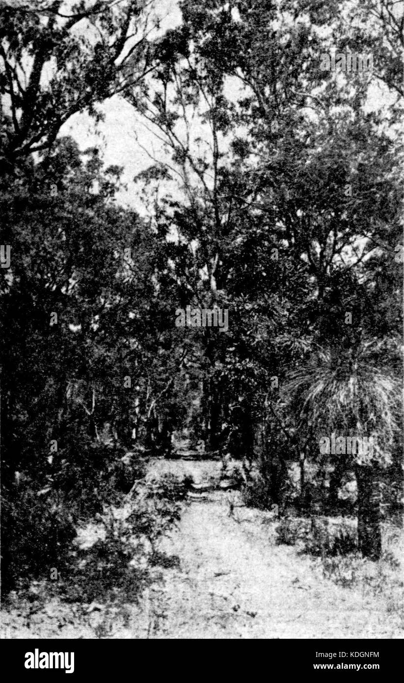 Vieille Route de la côte, le fameux Ghost Road, 1920 Banque D'Images