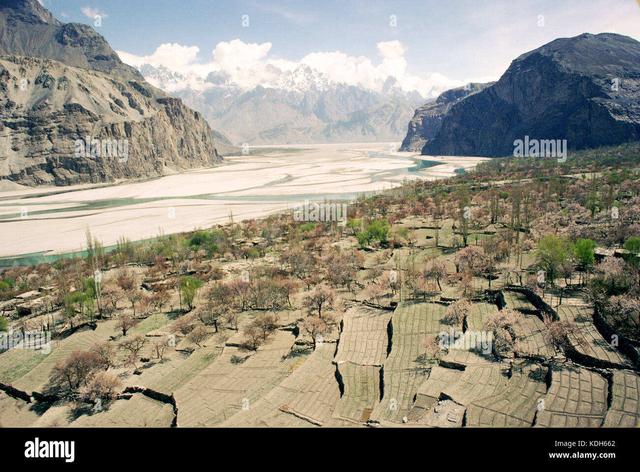 La vallée de l'Indus près de Skardu, Pakistan, 1990 ; les champs en terrasses profitez de la fertilité des sols sur les berges de la rivière. Banque D'Images