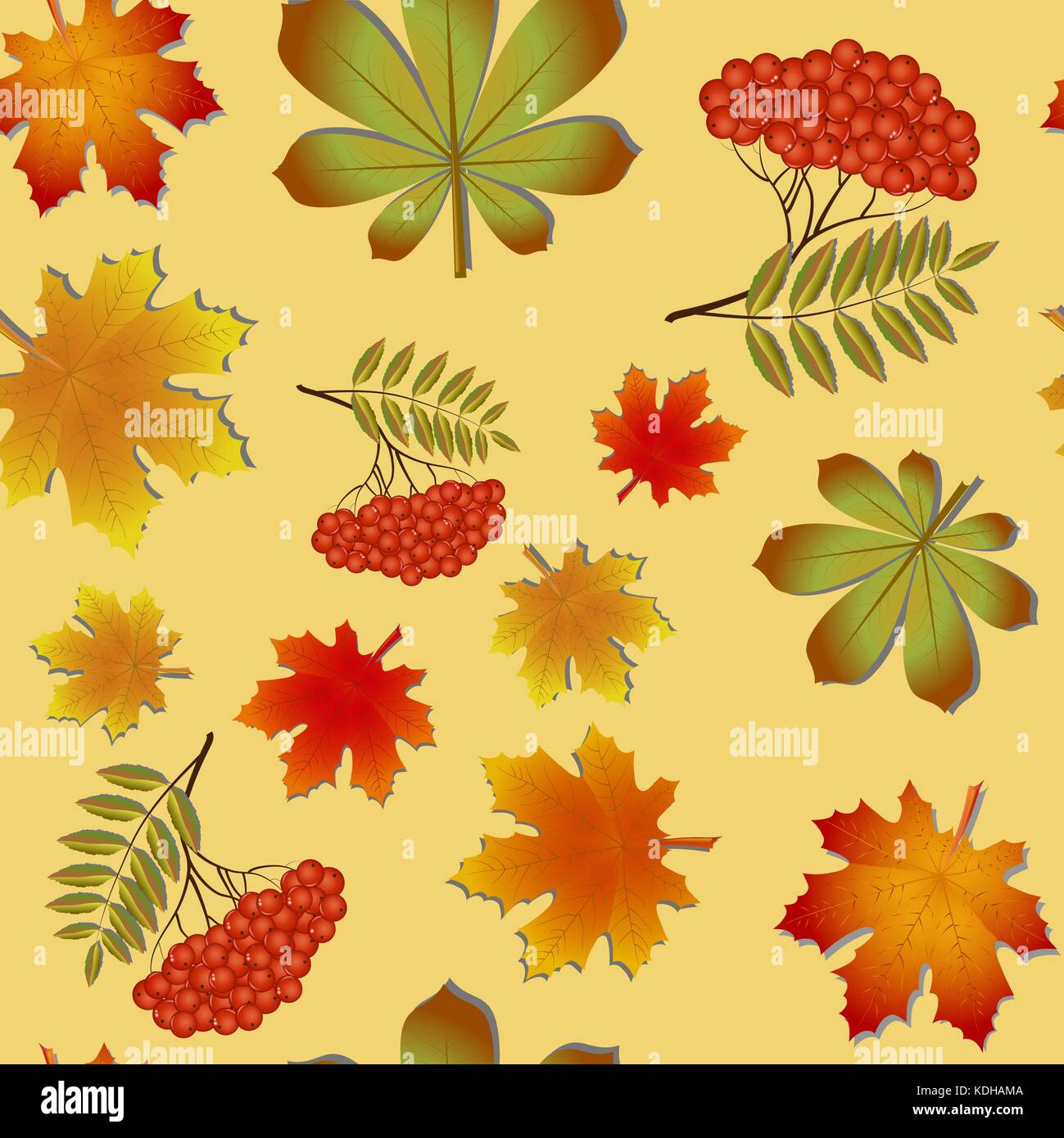 Modèle d'automne avec feuilles d'érable et Rowan Illustration de Vecteur