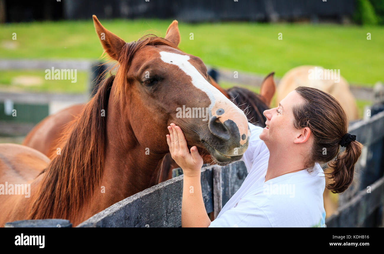 Jeune femme est de flatter un cheval sur une ferme dans le Kentucky Banque D'Images