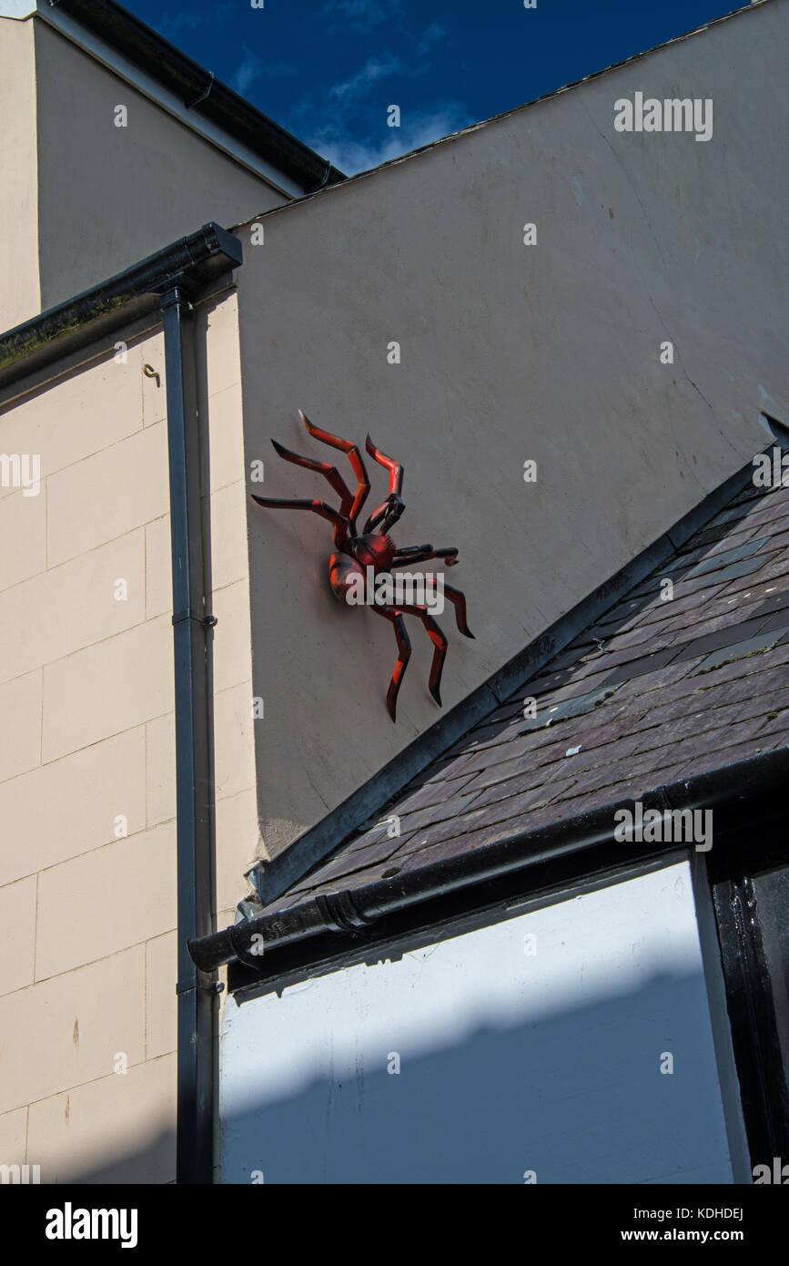 Mur en bois effrayant sur spider Banque D'Images