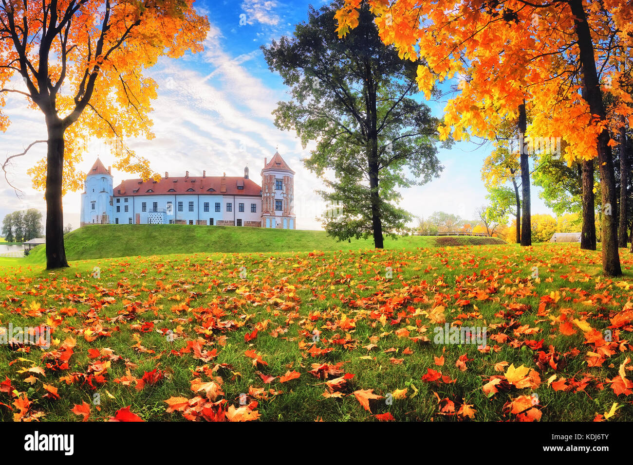 Automne nature en parc. château de Mir entouré de rouge et jaune de l'érable. Banque D'Images