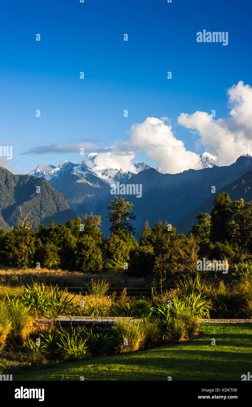 Fox Glacier, • la côte ouest de la Nouvelle-Zélande Banque D'Images