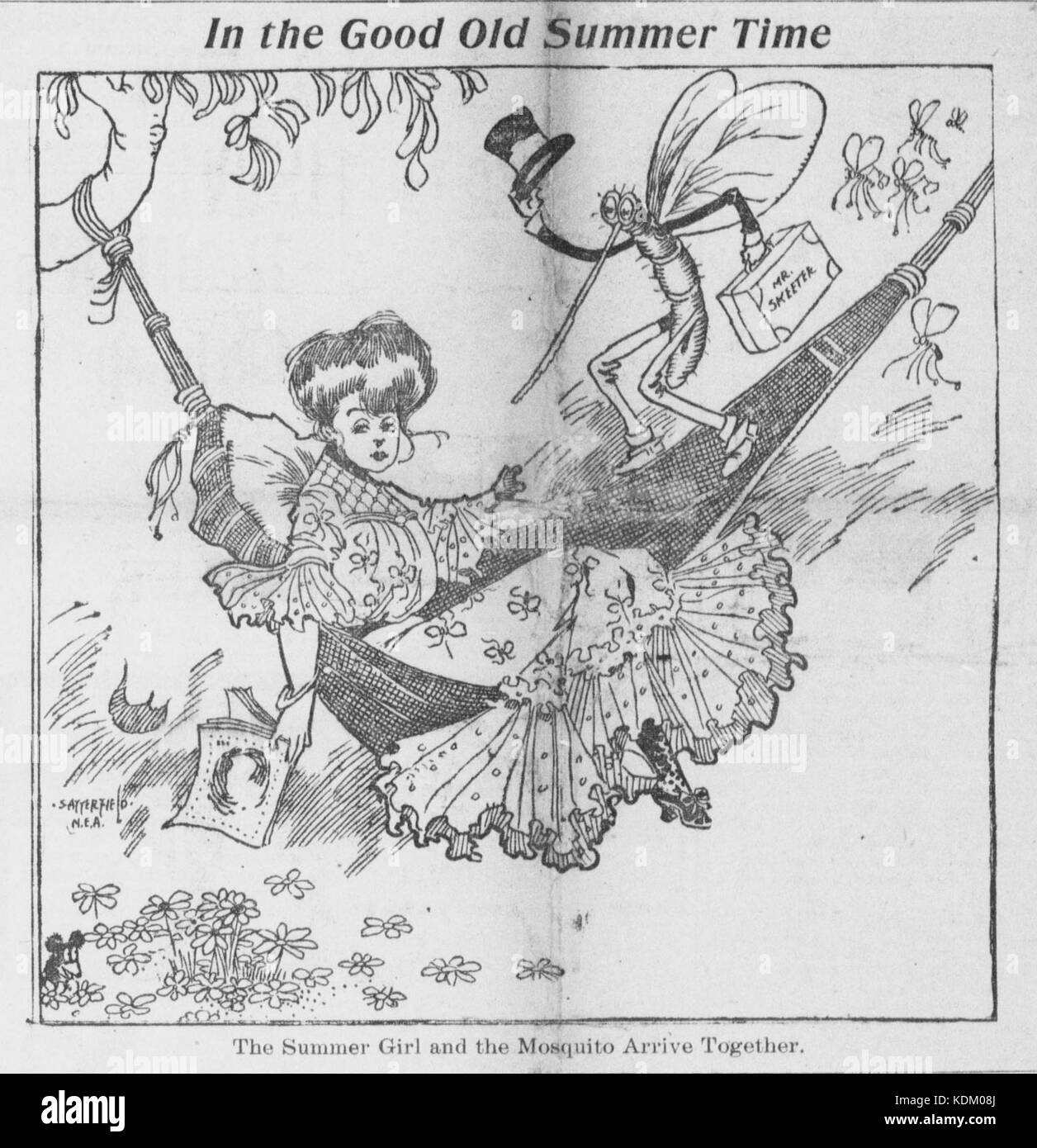 Caricature sur l'été étant Satterfield accompagnés par des moustiques Banque D'Images