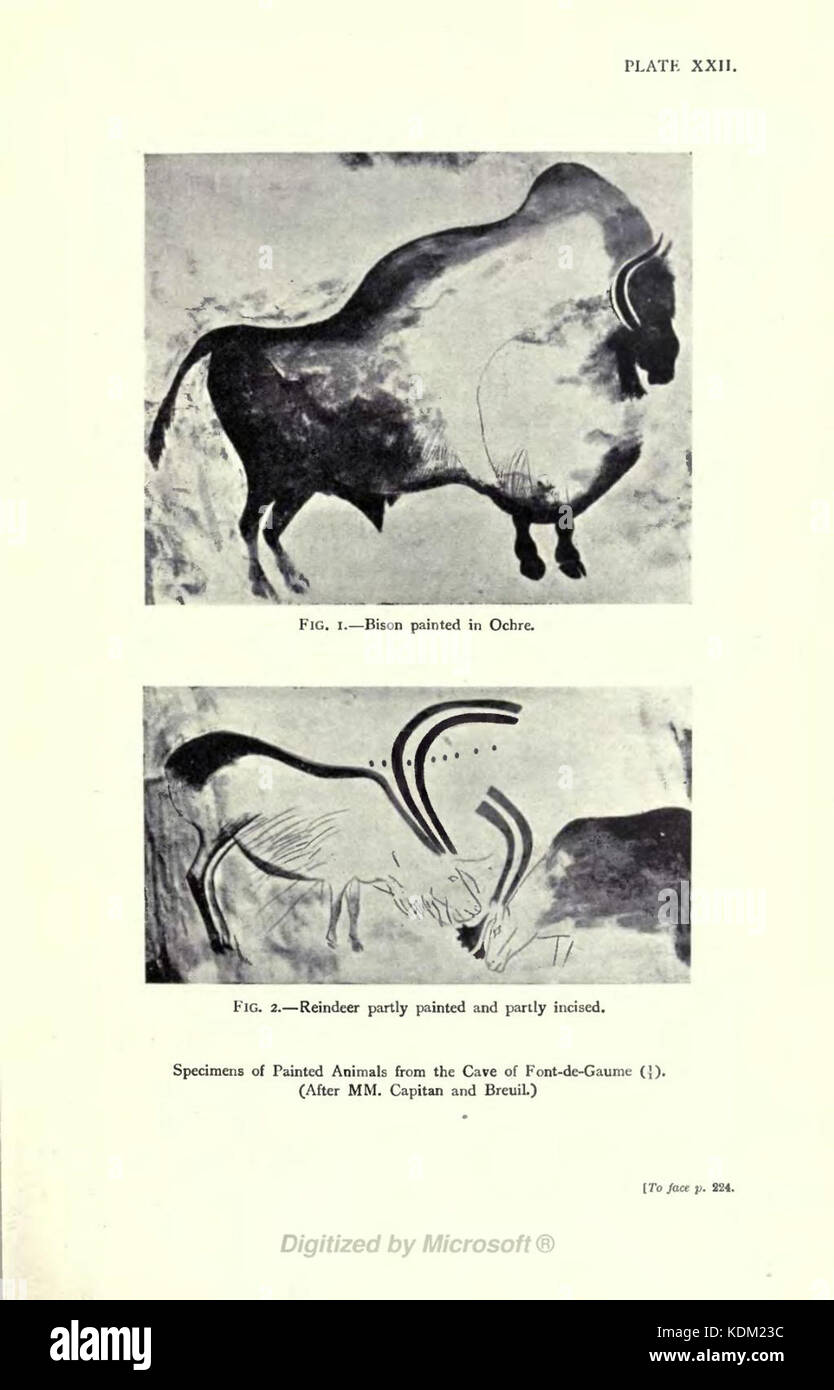 La planche XXII fait référence à une illustration détaillée ou à un diagramme tiré d'une publication historique ou scientifique. La plaque peut représenter des sujets techniques, biologiques ou artistiques. Banque D'Images