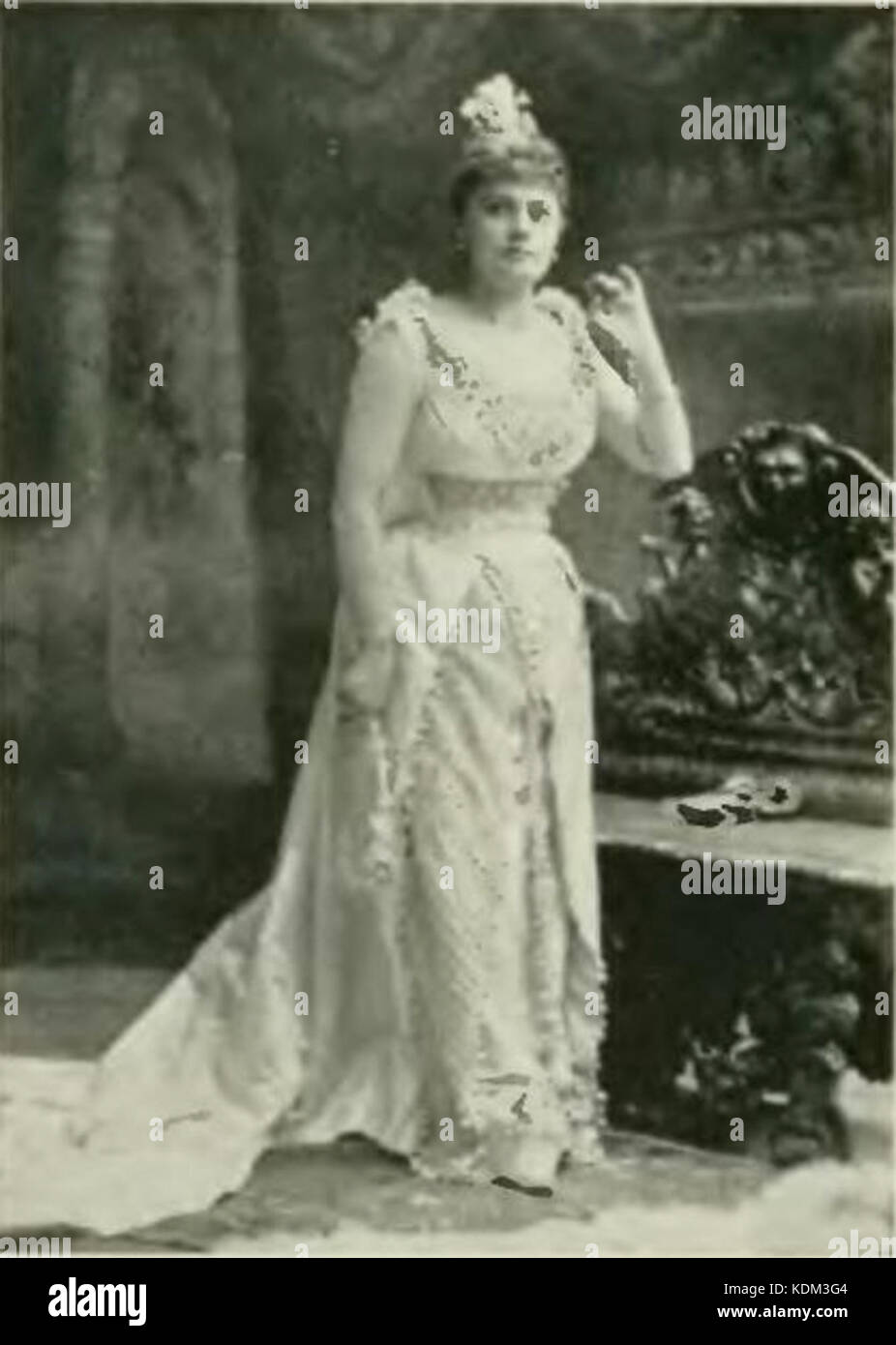 COGHLAN ROSE Banque D'Images