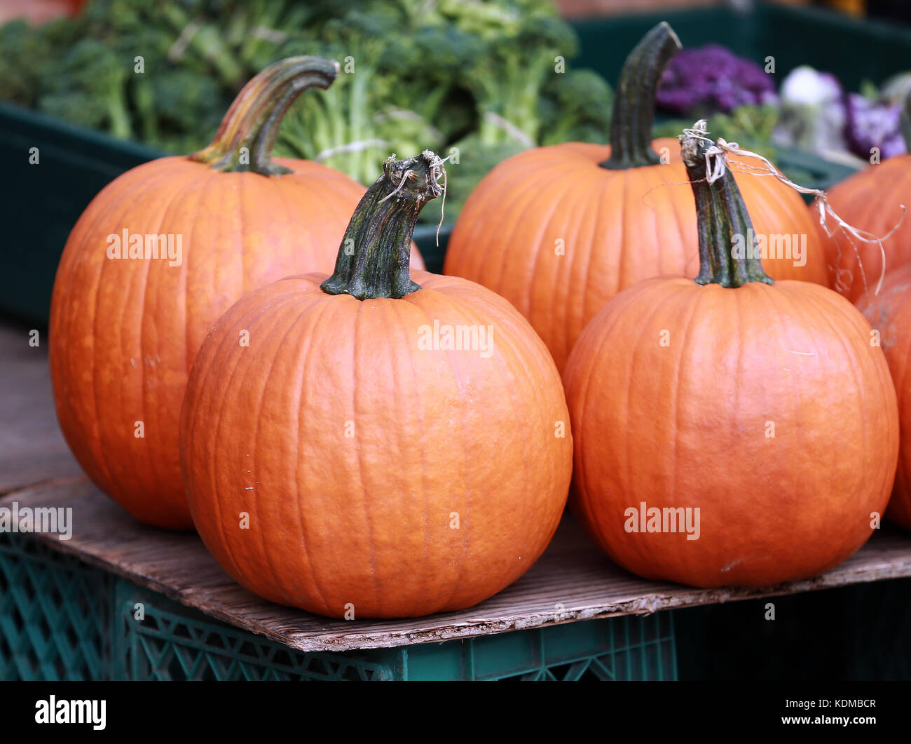 Exposition de citrouilles sur un marché agricole de Union Square à New York. Banque D'Images