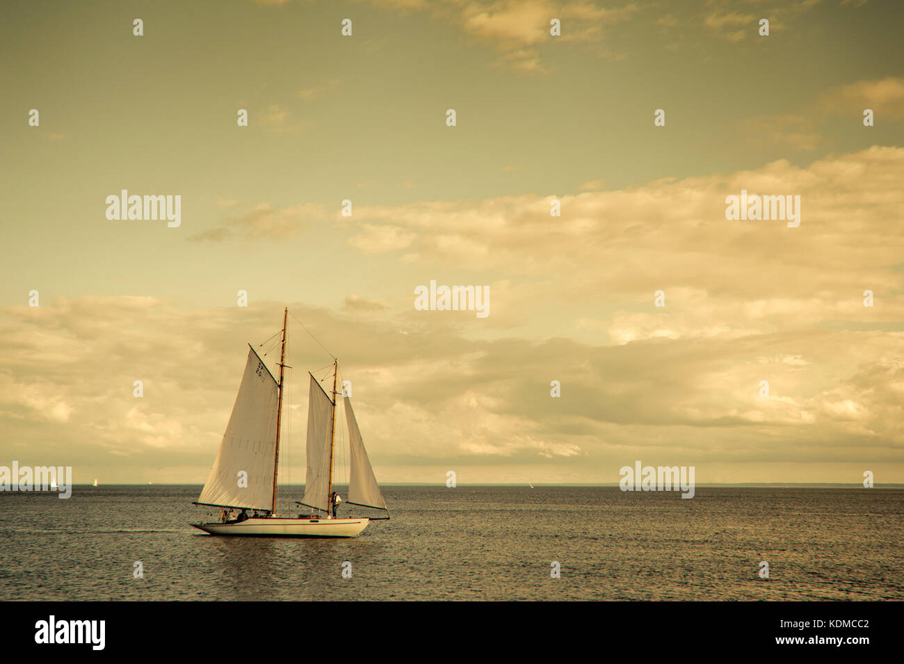 Yachts à voile sur le lac Ontario Banque D'Images